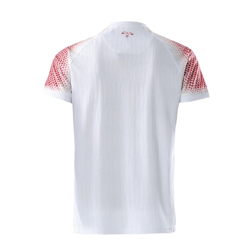 Jordan 2026 World Cup Jersey