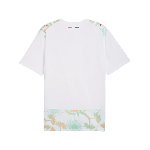 Ivory Coast 2026 World Cup Jersey