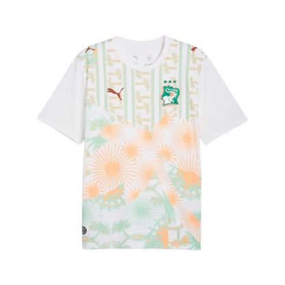 Ivory Coast 2026 World Cup Jersey