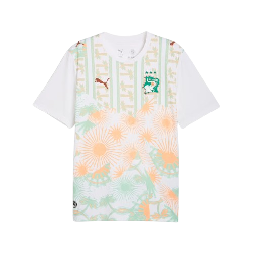Ivory Coast 2026 World Cup Jersey