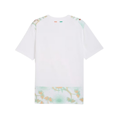 Ivory Coast 2026 World Cup Jersey