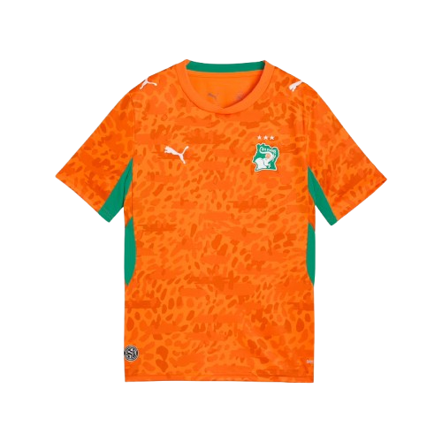 Ivory Coast 2026 World Cup Jersey