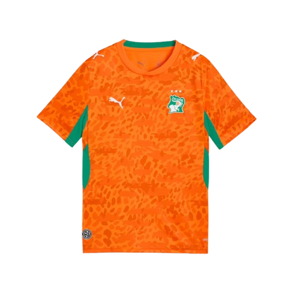 Ivory Coast 2026 World Cup Jersey