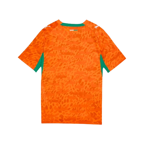 Ivory Coast 2026 World Cup Jersey
