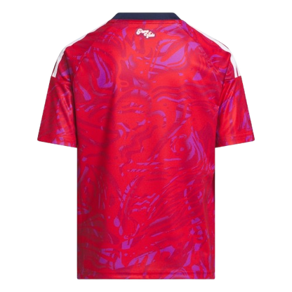 Costa Rica 2026 World Cup Jersey