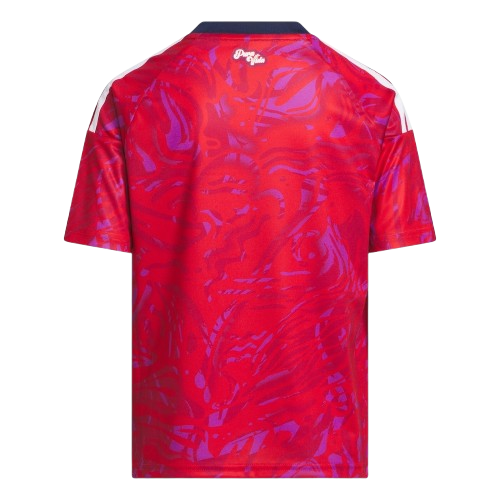 Costa Rica 2026 World Cup Jersey